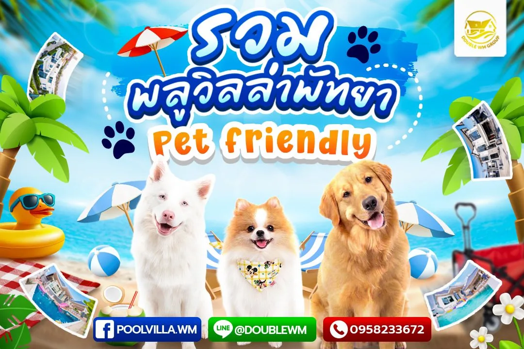 รวมพูลวิลล่าพัทยา pet friendly